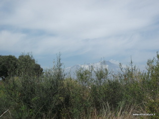 zzena-30-03-2013 11-46-40